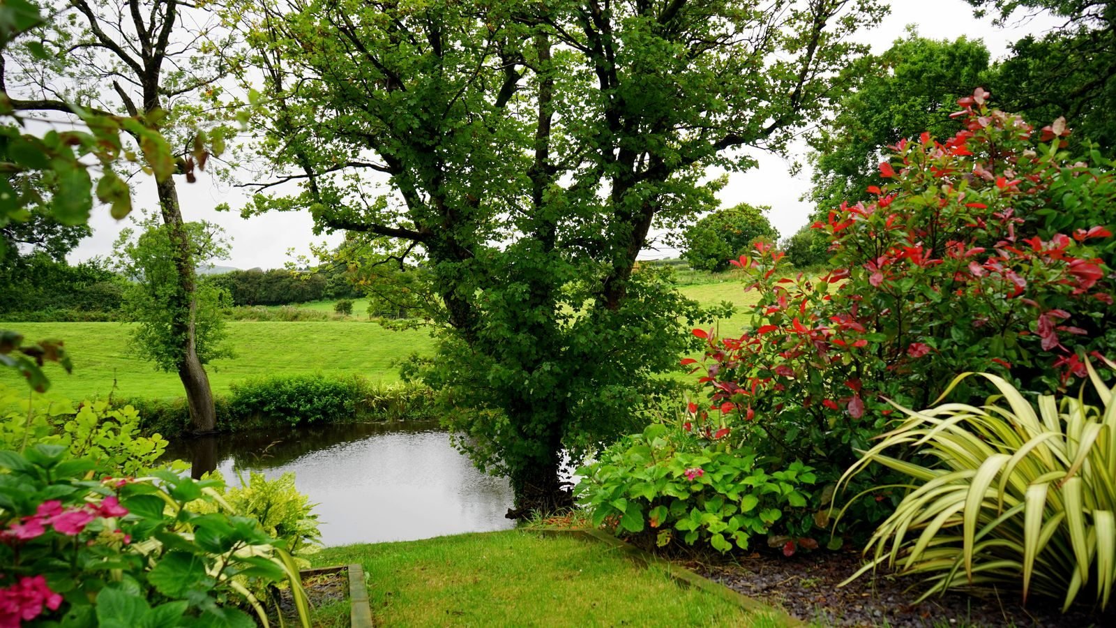 Grüner Garten mit gepflegtem Rasen, Sträuchern und Bäumen