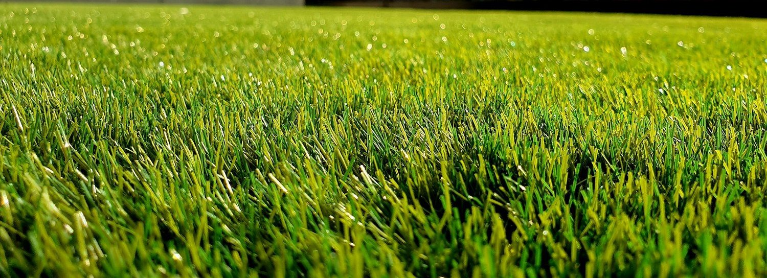 Nahaufnahme eines frisch gepflegten grünen Rasens